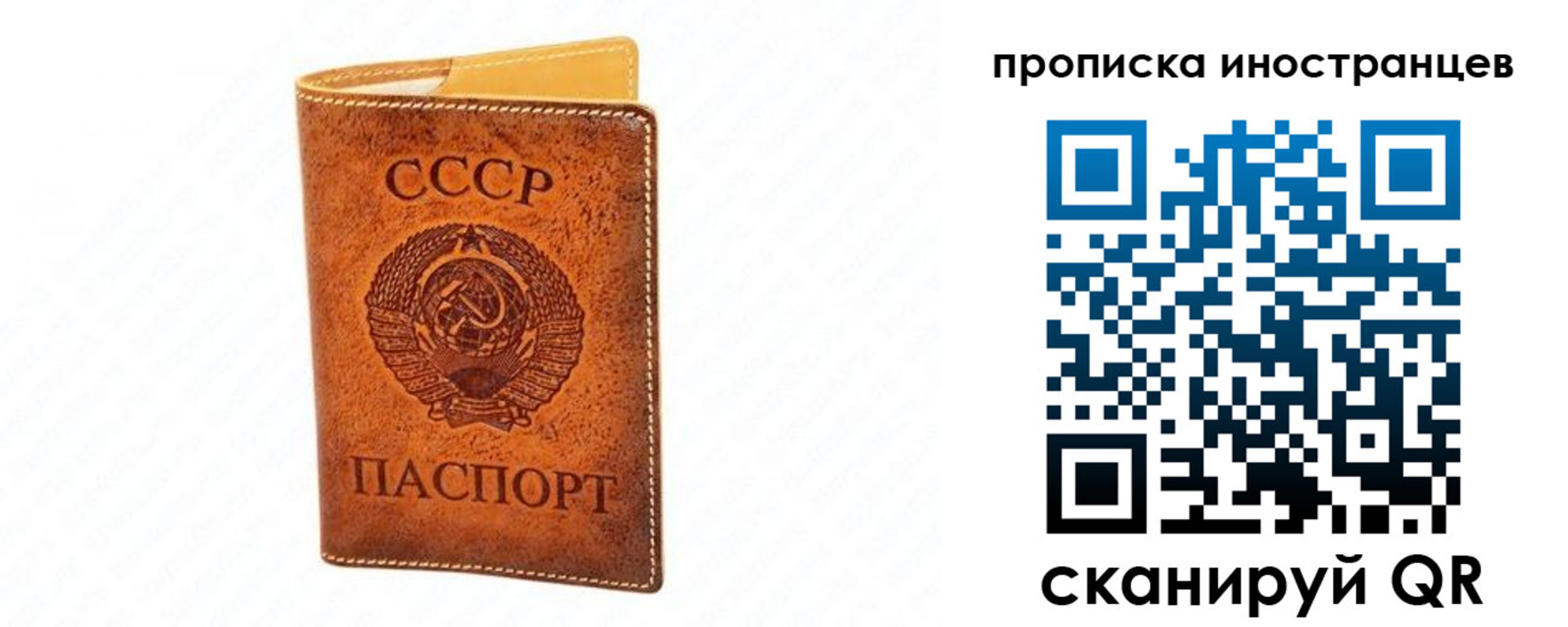 прописка для школы в Томске